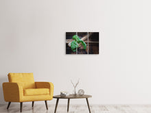 Laden Sie das Bild in den Galerie-Viewer, Leinwandbild 3-teilig Frischer Basilikum XL