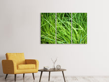Laden Sie das Bild in den Galerie-Viewer, Leinwandbild 3-teilig Frischer Schnittlauch XL