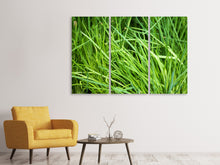 Laden Sie das Bild in den Galerie-Viewer, Leinwandbild 3-teilig Frischer Schnittlauch XL
