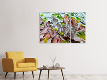 Laden Sie das Bild in den Galerie-Viewer, Leinwandbild 3-teilig Rohe Fische