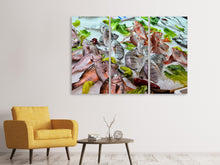 Laden Sie das Bild in den Galerie-Viewer, Leinwandbild 3-teilig Rohe Fische