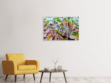 Laden Sie das Bild in den Galerie-Viewer, Leinwandbild 3-teilig Rohe Fische