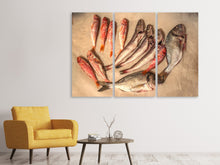 Laden Sie das Bild in den Galerie-Viewer, Leinwandbild 3-teilig Roher Fisch