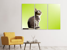 Laden Sie das Bild in den Galerie-Viewer, Leinwandbild 3-teilig Pop Art Katze XL
