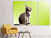 Laden Sie das Bild in den Galerie-Viewer, Leinwandbild 3-teilig Pop Art Katze XL