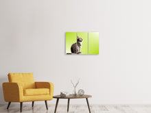 Laden Sie das Bild in den Galerie-Viewer, Leinwandbild 3-teilig Pop Art Katze XL