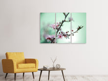 Laden Sie das Bild in den Galerie-Viewer, Leinwandbild 3-teilig Die japanische Kirschblüte