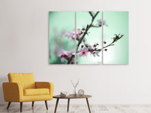 Laden Sie das Bild in den Galerie-Viewer, Leinwandbild 3-teilig Die japanische Kirschblüte