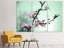 Laden Sie das Bild in den Galerie-Viewer, Leinwandbild 3-teilig Die japanische Kirschblüte