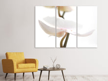 Laden Sie das Bild in den Galerie-Viewer, Leinwandbild 3-teilig XXL Orchideenblüte