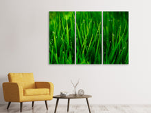 Laden Sie das Bild in den Galerie-Viewer, Leinwandbild 3-teilig Gras mit Morgentau