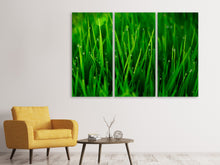 Laden Sie das Bild in den Galerie-Viewer, Leinwandbild 3-teilig Gras mit Morgentau