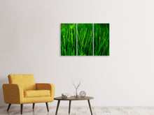 Laden Sie das Bild in den Galerie-Viewer, Leinwandbild 3-teilig Gras mit Morgentau