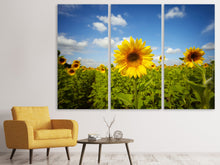 Laden Sie das Bild in den Galerie-Viewer, Leinwandbild 3-teilig Sommer-Sonnenblumen