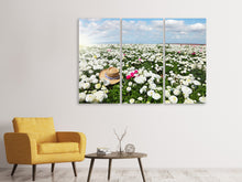 Laden Sie das Bild in den Galerie-Viewer, Leinwandbild 3-teilig Die Frühlingsblumenwiese