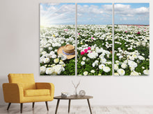 Laden Sie das Bild in den Galerie-Viewer, Leinwandbild 3-teilig Die Frühlingsblumenwiese