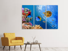 Laden Sie das Bild in den Galerie-Viewer, Leinwandbild 3-teilig Fisch im Wasser
