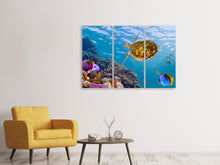 Laden Sie das Bild in den Galerie-Viewer, Leinwandbild 3-teilig Die Wasserschildkröte