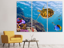 Laden Sie das Bild in den Galerie-Viewer, Leinwandbild 3-teilig Die Wasserschildkröte