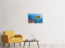 Laden Sie das Bild in den Galerie-Viewer, Leinwandbild 3-teilig Die Wasserschildkröte