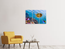 Laden Sie das Bild in den Galerie-Viewer, Leinwandbild 3-teilig Die Wasserschildkröte