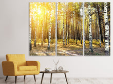 Laden Sie das Bild in den Galerie-Viewer, Leinwandbild 3-teilig Birkenwald