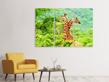 Laden Sie das Bild in den Galerie-Viewer, Leinwandbild 3-teilig Giraffenliebe