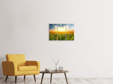 Laden Sie das Bild in den Galerie-Viewer, Leinwandbild 3-teilig Ein Feld voller Sonnenblumen
