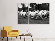 Laden Sie das Bild in den Galerie-Viewer, Leinwandbild 3-teilig Die Mustang Herde
