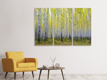 Laden Sie das Bild in den Galerie-Viewer, Leinwandbild 3-teilig Herbstlicher Birkenwald