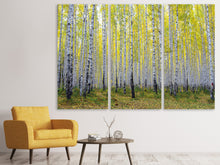 Laden Sie das Bild in den Galerie-Viewer, Leinwandbild 3-teilig Herbstlicher Birkenwald