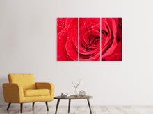 Laden Sie das Bild in den Galerie-Viewer, Leinwandbild 3-teilig Rote Rose im Morgentau