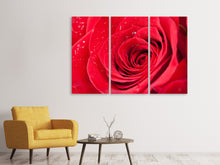 Laden Sie das Bild in den Galerie-Viewer, Leinwandbild 3-teilig Rote Rose im Morgentau