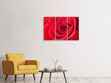 Laden Sie das Bild in den Galerie-Viewer, Leinwandbild 3-teilig Rote Rose im Morgentau