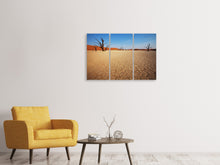Laden Sie das Bild in den Galerie-Viewer, Leinwandbild 3-teilig Wüste