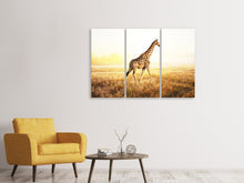 Laden Sie das Bild in den Galerie-Viewer, Leinwandbild 3-teilig Die Giraffe