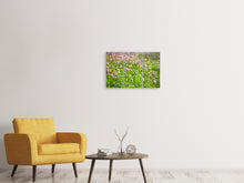 Laden Sie das Bild in den Galerie-Viewer, Leinwandbild 3-teilig Der Wiesenklee