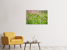 Laden Sie das Bild in den Galerie-Viewer, Leinwandbild 3-teilig Der Wiesenklee