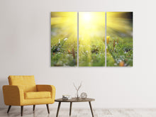 Laden Sie das Bild in den Galerie-Viewer, Leinwandbild 3-teilig Blumige Wiese