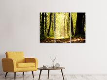 Laden Sie das Bild in den Galerie-Viewer, Leinwandbild 3-teilig Sonnenaufgang im Wald