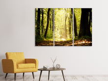 Laden Sie das Bild in den Galerie-Viewer, Leinwandbild 3-teilig Sonnenaufgang im Wald