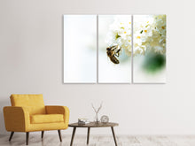 Laden Sie das Bild in den Galerie-Viewer, Leinwandbild 3-teilig Die Hummel und die Blüte