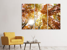 Laden Sie das Bild in den Galerie-Viewer, Leinwandbild 3-teilig Herbstbäume