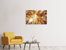 Laden Sie das Bild in den Galerie-Viewer, Leinwandbild 3-teilig Herbstbäume