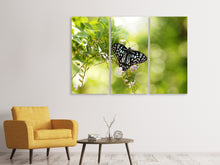 Laden Sie das Bild in den Galerie-Viewer, Leinwandbild 3-teilig Papilio Schmetterling XXL