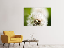 Laden Sie das Bild in den Galerie-Viewer, Leinwandbild 3-teilig Pusteblume Löwenzahn