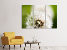 Laden Sie das Bild in den Galerie-Viewer, Leinwandbild 3-teilig Pusteblume Löwenzahn