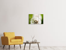 Laden Sie das Bild in den Galerie-Viewer, Leinwandbild 3-teilig Pusteblume Löwenzahn