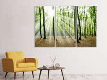 Laden Sie das Bild in den Galerie-Viewer, Leinwandbild 3-teilig Magisches Licht in den Bäumen