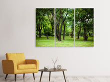 Laden Sie das Bild in den Galerie-Viewer, Leinwandbild 3-teilig Kirschbaum-Garten